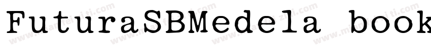 FuturaSBMedela book字体转换